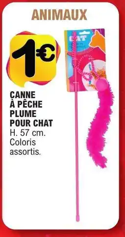 E.Leclerc CANNE À PÊCHE PLUME POUR CHAT offre