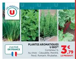 Super U U bio plantes aromatiques offre