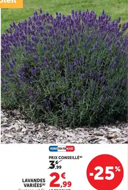Super U Lavandes variées offre