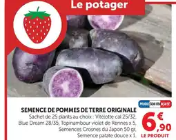 Hyper U Semence de pommes de terre originale offre