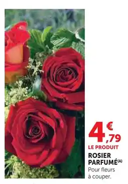 Super U Rosier parfumé offre