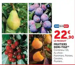 Hyper U Fruitiers demi-tige offre