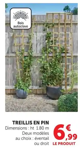 Super U Treillis en pin offre
