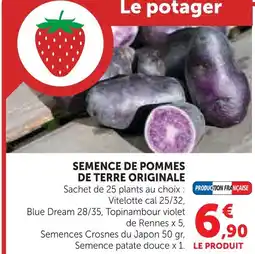 Super U Semence de pommes de terre originale offre