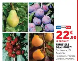 Super U Fruitiers demi-tige offre