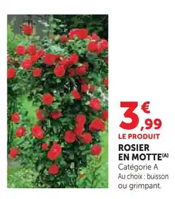 Hyper U Rosier en motte offre