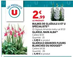 Super U U et u spécialiste bulbes de glaïeuls offre