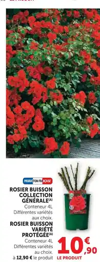Super U Rosier buisson collection générale offre