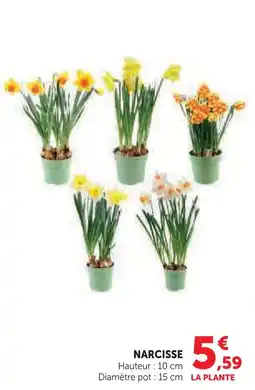 Hyper U Narcisse offre