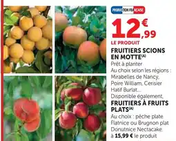 Super U Fruitiers scions en motte offre