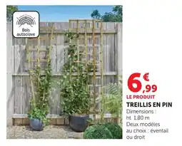 Hyper U Treillis en pin offre