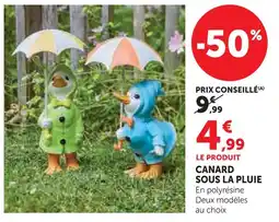 Super U Canard sous la pluie offre