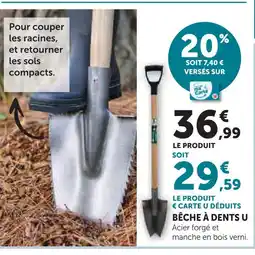 Hyper U U bêche à dents offre