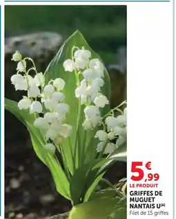 Hyper U U griffes de muguet nantais offre