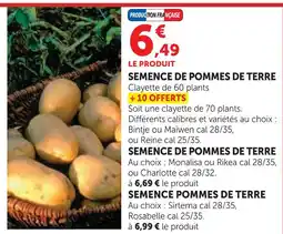 Hyper U Semence de pommes de terre offre
