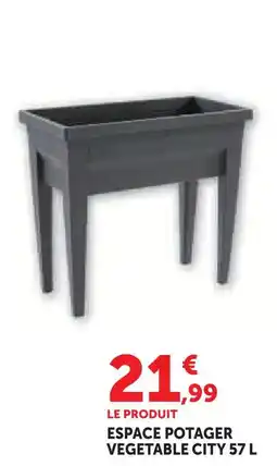 Hyper U Espace potager vegetable city offre