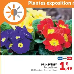 Hyper U Primevère offre