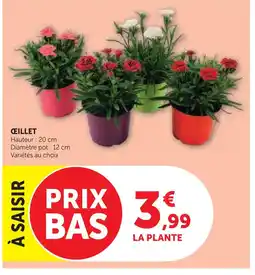 Hyper U Œillet offre