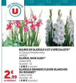Hyper U U / u spécialiste bulbes de glaïeuls offre