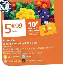 Jardiland La barquette de 6 godets offre
