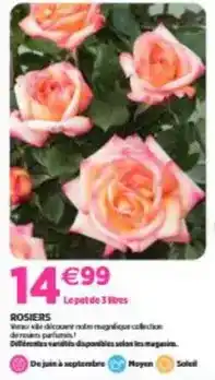 Delbard Rosiers offre