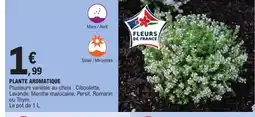 E.Leclerc Plante aromatique offre