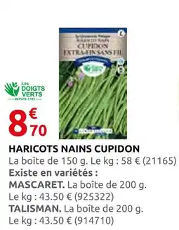 Rural Master Les doigts verts haricots nains cupidon offre