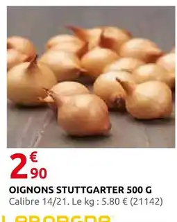 Rural Master Oignons stuttgarter 500 g offre