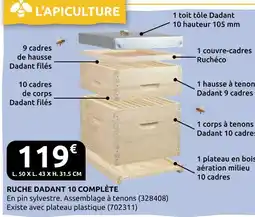 Rural Master Ruche dadant 10 complète offre
