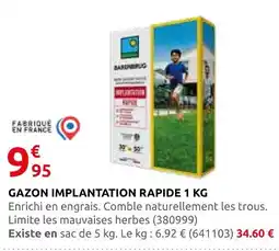 Rural Master Gazon implantation rapide offre