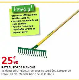 Rural Master Râteau forgé manché offre