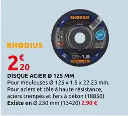 Rural Master Rhodius disque acier ø 125 mm offre