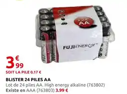 Rural Master Fuji energy blister 24 piles aa offre