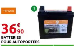 Rural Master Tehver batterie u1r-250 offre