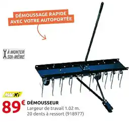 Rural Master Maxi démousseur offre