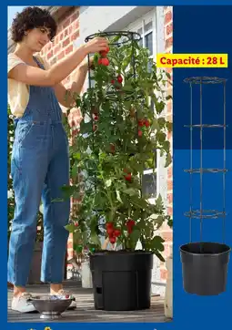 Lidl Pot pour plants de tomates offre