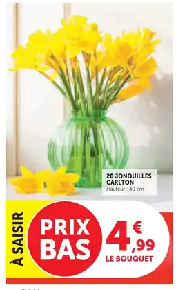 Super U 20 jonquilles carlton offre