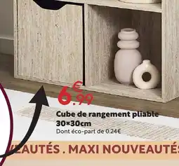 Maxi Bazar Cube de rangement pliable 30×30cm offre