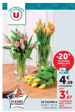 U Express U 10 tulipes offre