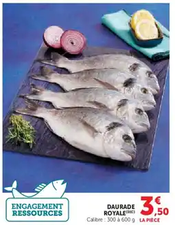 U Express Daurade royale offre