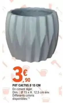 E.Leclerc Dim - pot cactus offre