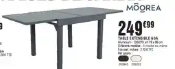 La Foir'Fouille Table extensible goa offre