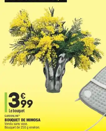 ALDI Bouquet de mimosa offre