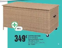 La Foir'Fouille Coffre bayana offre