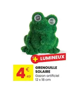 Stokomani Grenouille solaire offre