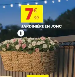 Stokomani Jardinière en jonc ovale ou rectangulaire offre