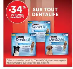 Bi1 DENTALIFE Sur tout offre