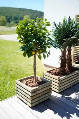 Auchan Cerland bac à fleurs offre