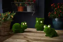 Auchan Gardenstar animal solaire offre