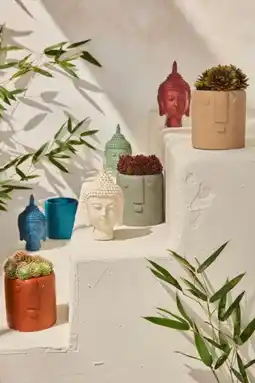 Auchan Gardenstar pot et décoration offre